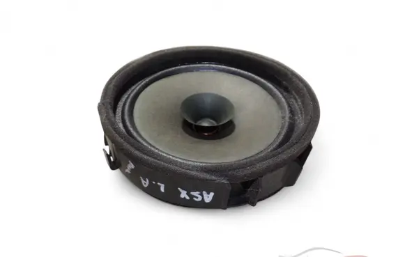 Rear door speaker