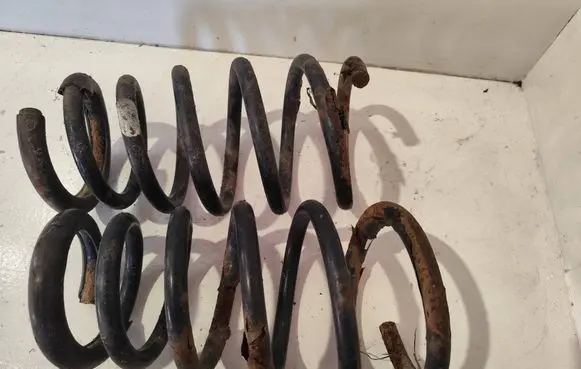 Rear coil spring
