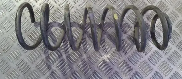 Rear coil spring
