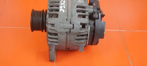 Renault Scenic III - Grand scenic III Generator/alternator 0124425070 29XZ39