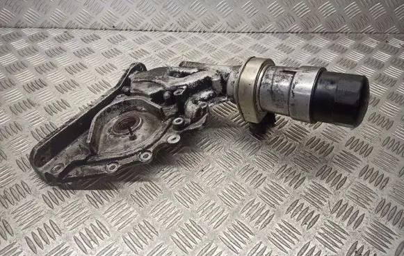 Hyundai Santa Fe Oil pump chain 