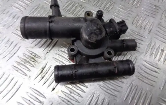 Thermostat/thermostat housing