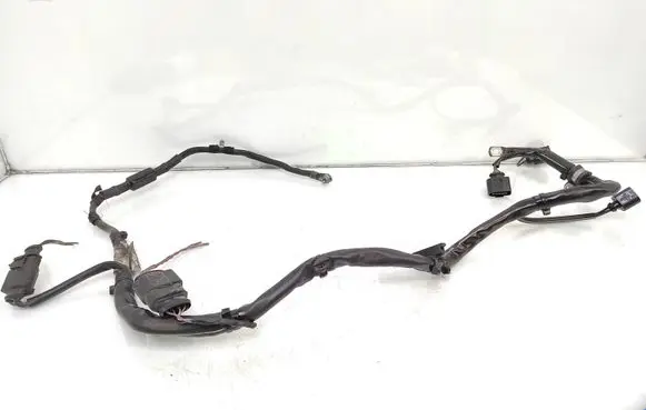 Volkswagen PASSAT B6 Engine installation wiring loom 3C0971230FA