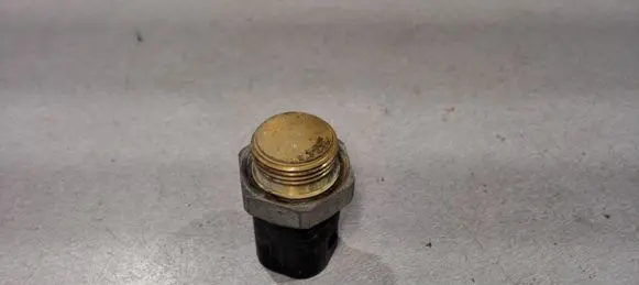 Volkswagen PASSAT B4 Coolant temperature sensor 1H0959481B