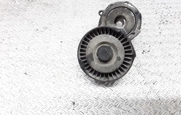 Peugeot 607 Generator/alternator belt tensioner