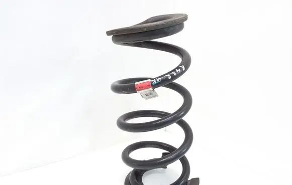 Tesla Model 3 Rear coil spring 104447291E