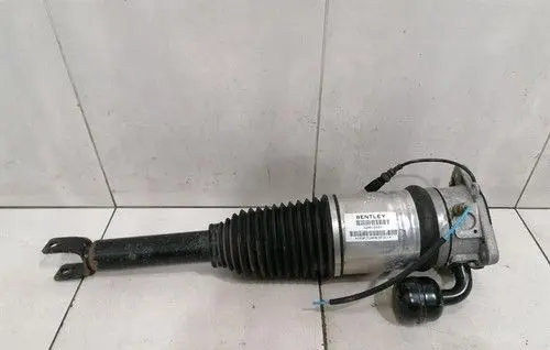 Bentley Mulsanne Rear shock absorber with coil spring 3W8616002