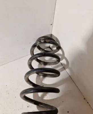Front coil spring