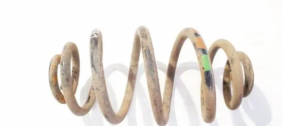 Rear coil spring