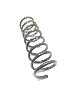 Ford C-MAX II Rear coil spring