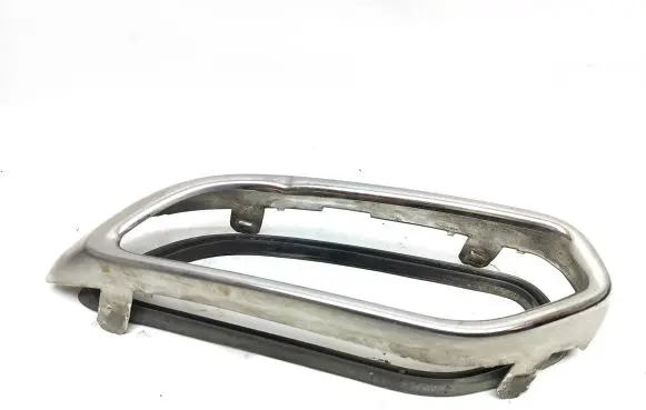 Citroen DS5 Muffler trim 55423L2