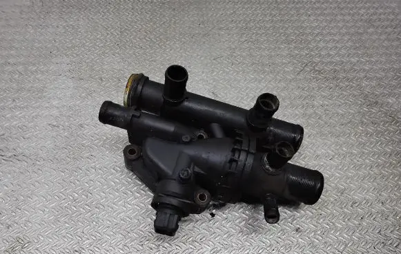 Thermostat/thermostat housing