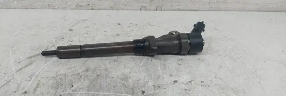Citroen C5 Fuel injector 0445110036