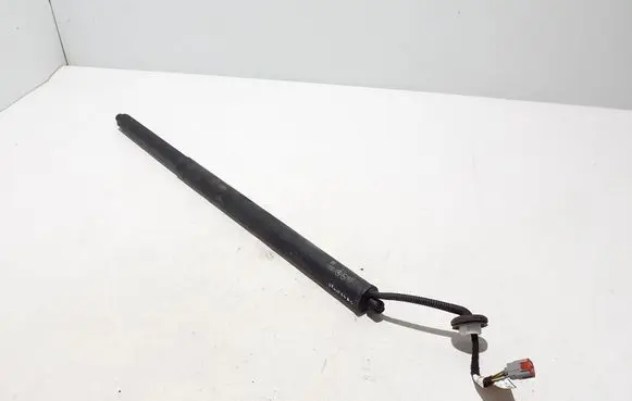 Ford Mach-E I Tailgate strut LJ8BR402A54AE