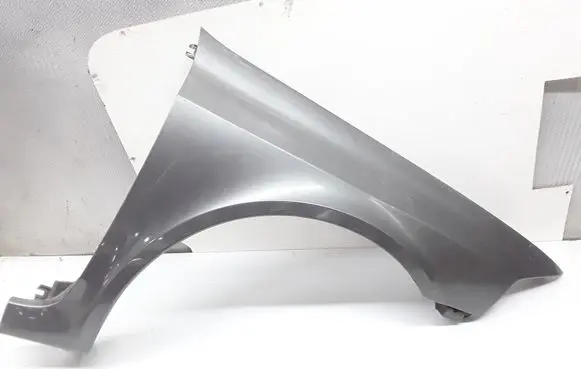 Renault Laguna II Fender