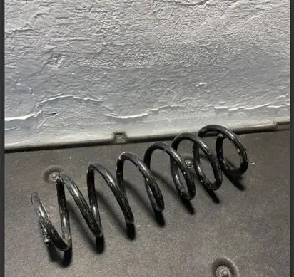 Volkswagen PASSAT B6 Rear coil spring