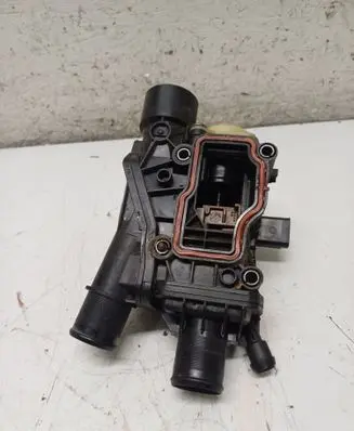 Thermostat/thermostat housing