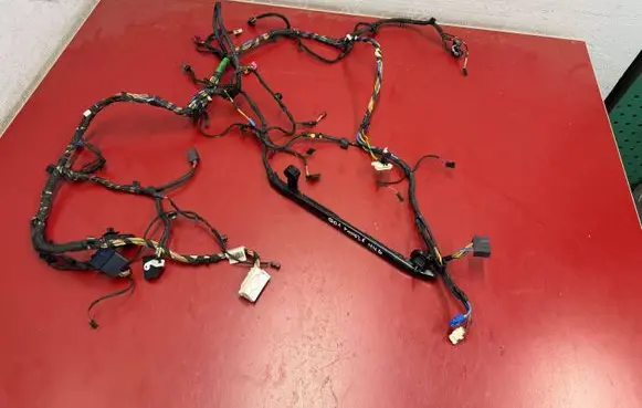 BMW X3 G01 Panel wiring 67220091