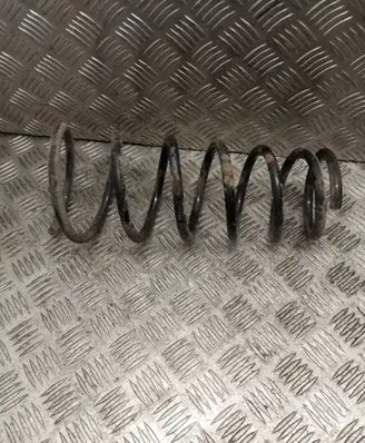 Rear coil spring
