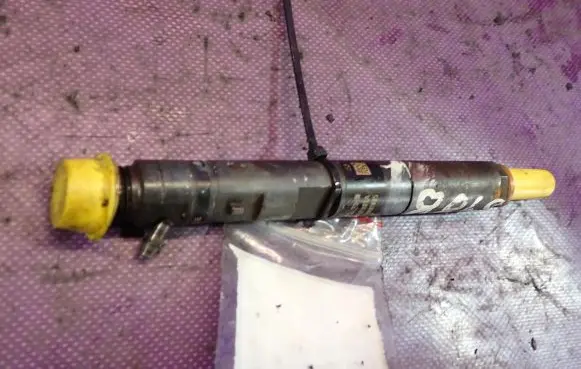 Renault Megane II Fuel injector 8200365186