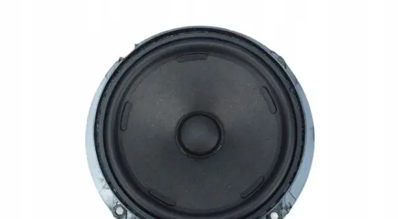 Volkswagen ID.4 Front door speaker 11A035453N132