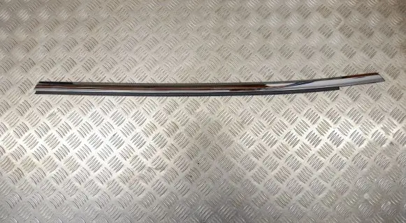 Tesla Model S Rear door trim (molding)