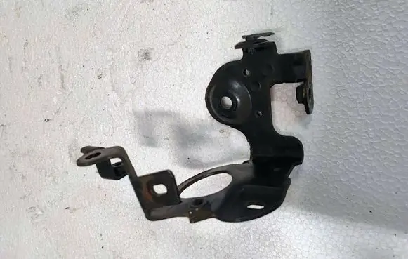 Renault Kangoo II Fuel pump bracket 166345880R
