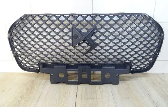 Citroen DS5 Front grill 9820885377