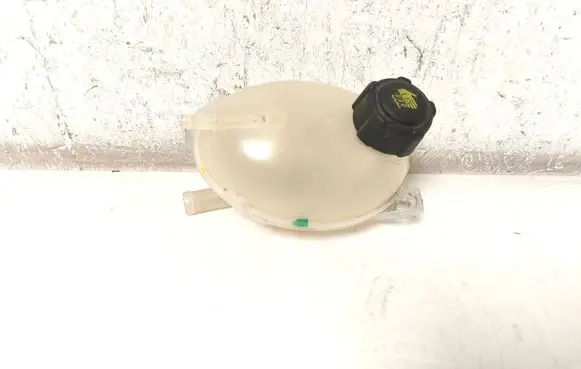 Dacia Duster II Coolant expansion tank/reservoir 217100680R