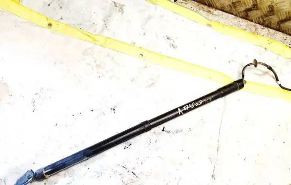 Ford C-MAX II Tailgate/trunk strut/damper 933186102 933186-102