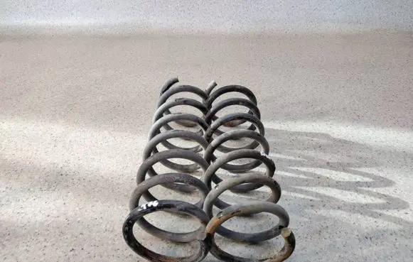 Renault Scenic RX Rear coil spring