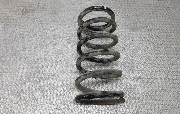 Hyundai Santa Fe Rear coil spring