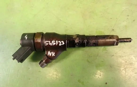 Peugeot 406 Fuel injector