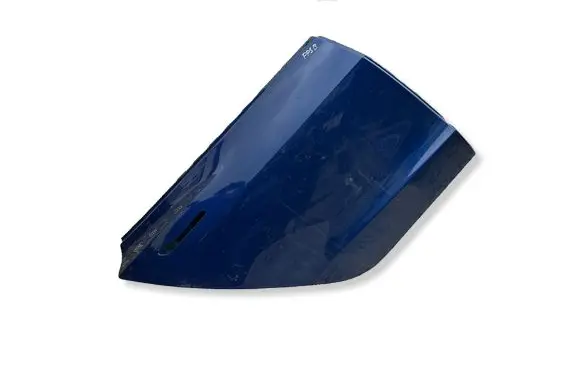 Tesla Model 3 Rear door 