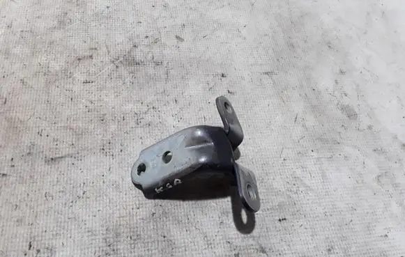 Hyundai Ioniq Rear door lower hinge 79310-2E000