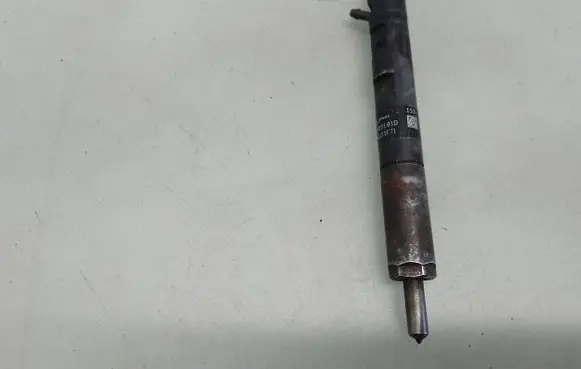 Nissan Note (E11) Fuel injector EJBR03101D 8200421359