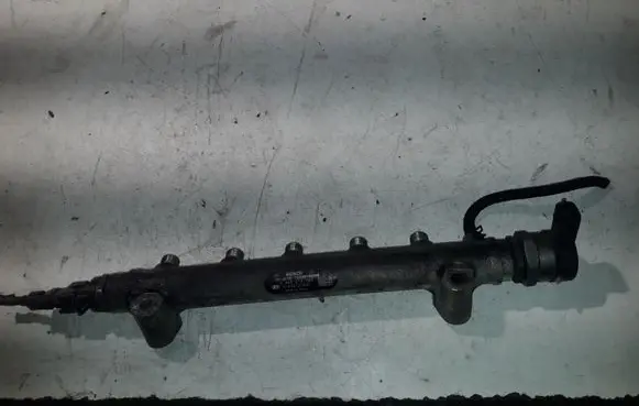 Hyundai Santa Fe Fuel distributor 0445214085