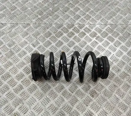 Peugeot 3008 III Rear coil spring 9845275780