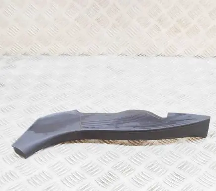 Rear/tail light trim molding