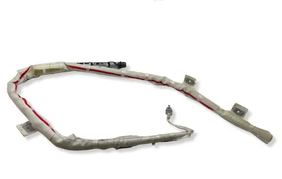 Toyota RAV 4 (XA30) Roof airbag 
