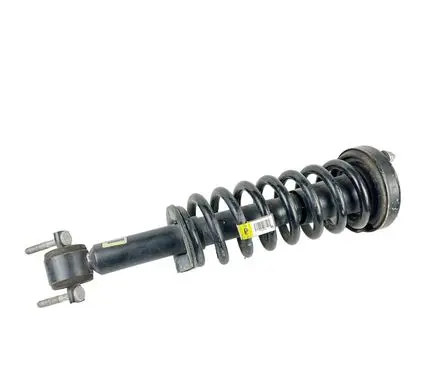 Ford F150 Front shock absorber with coil spring FL3418045
