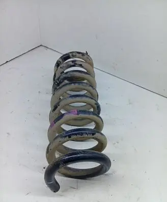 Rear coil spring