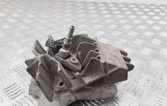 Dacia Sandero Fuel injector 8200769153