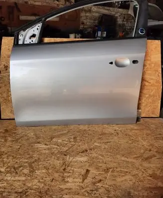 Fiat Bravo Front door