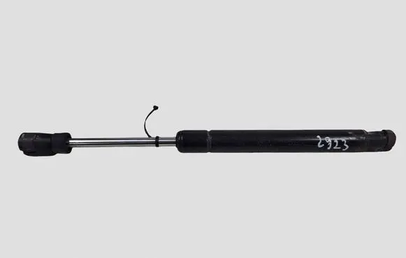 Cadillac CTS Tailgate/trunk strut/damper 15234370 007667749