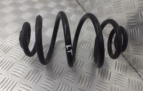 Volkswagen PASSAT B5.5 Rear coil spring
