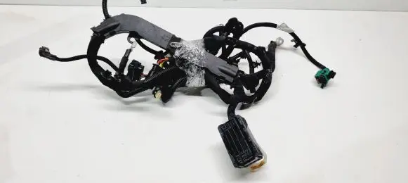 Engine installation wiring loom
