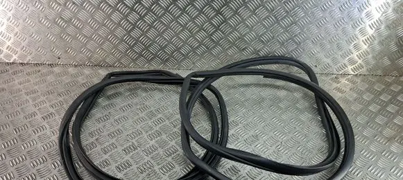 Toyota C-HR I Rear door rubber seal (on body)