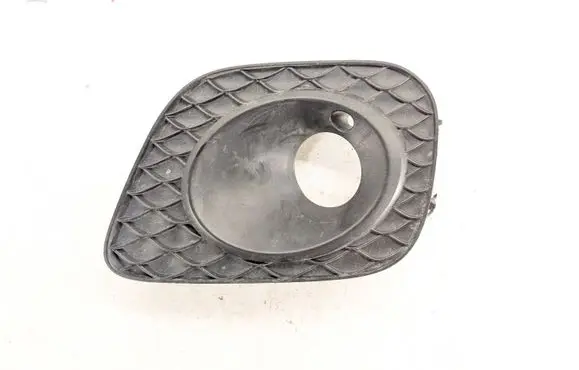 Front fog light trim/grill