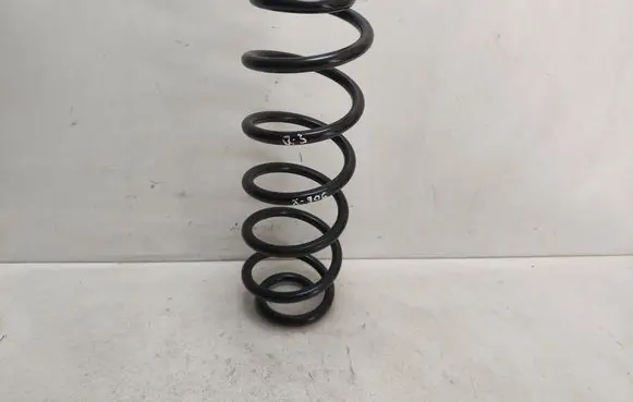 Rear coil spring